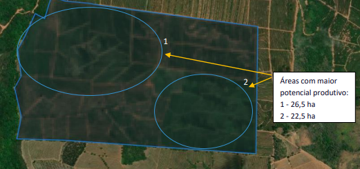 Mapa enviado com duas áreas de maior potencial produtivo: 26,5 e 22,5 hectares